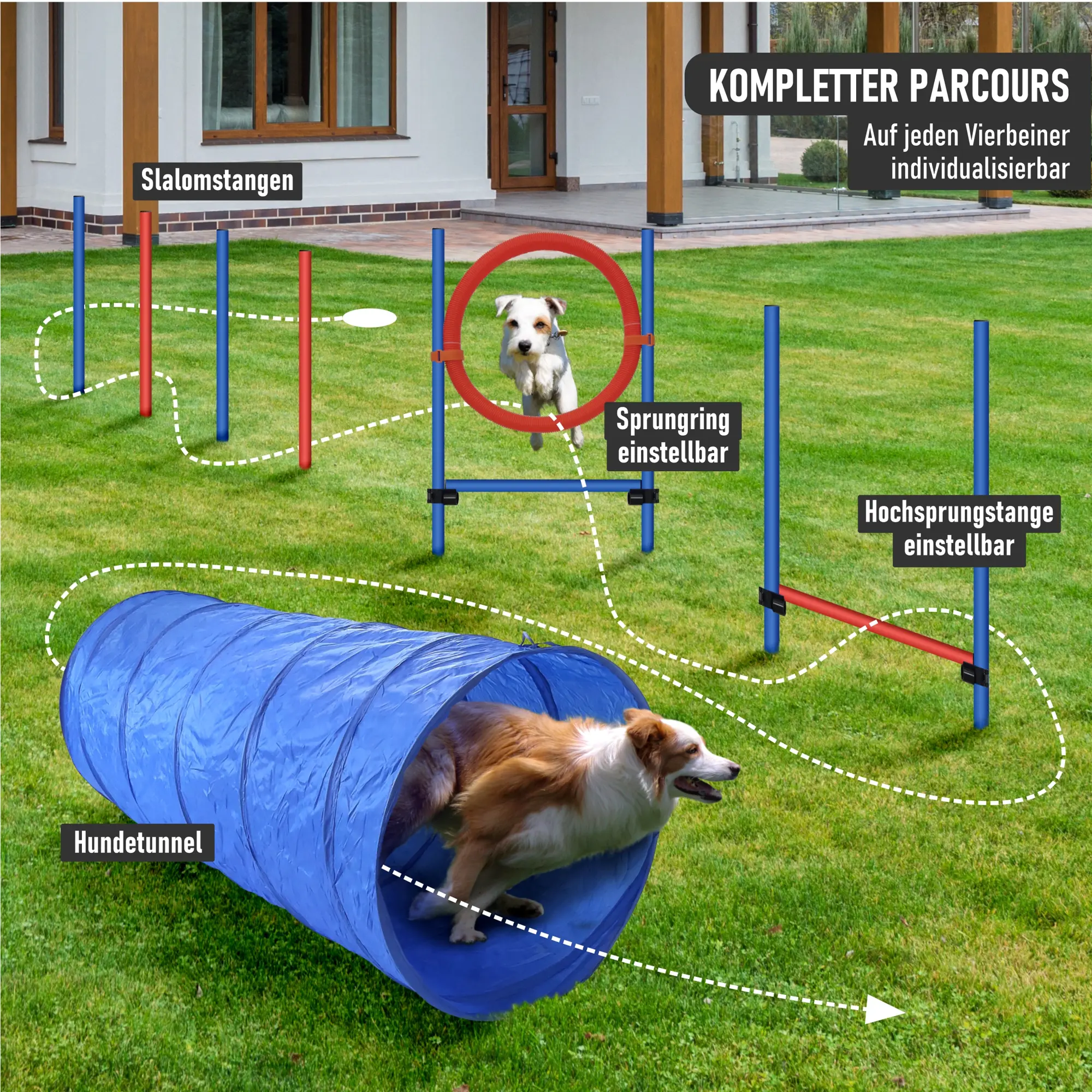 Agility Set für effektives Hundetraining, Einsteiger-Set in den Hundesport und Hundetraining PR-A6