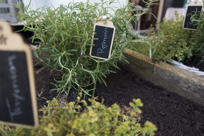 hochbeet-kraeuter Kräuter im Hochbeet pflanzen – platzsparend und aromatisch gärtnern