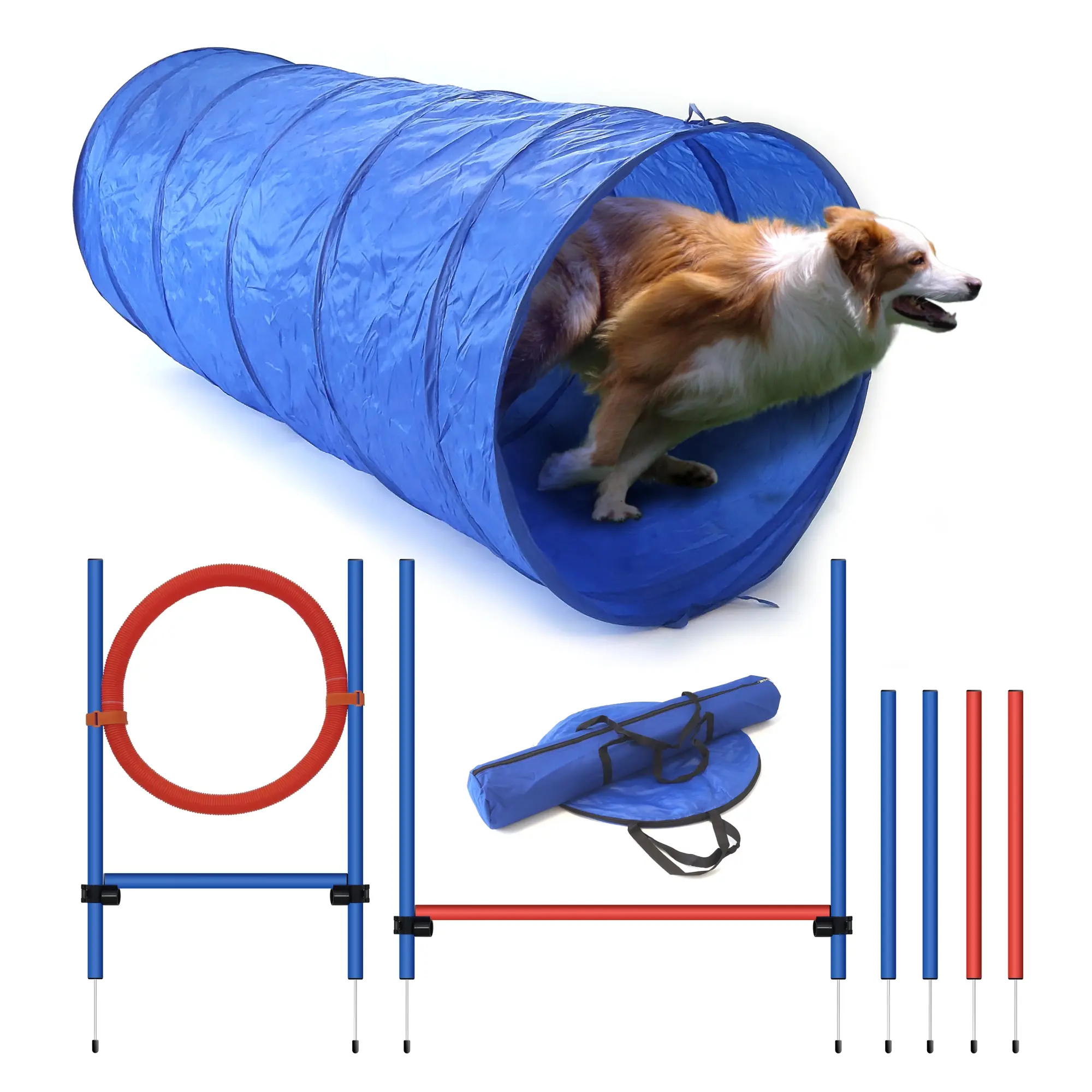 Agility Set für effektives Hundetraining, Einsteiger-Set in den Hundesport und Hundetraining PR-A6