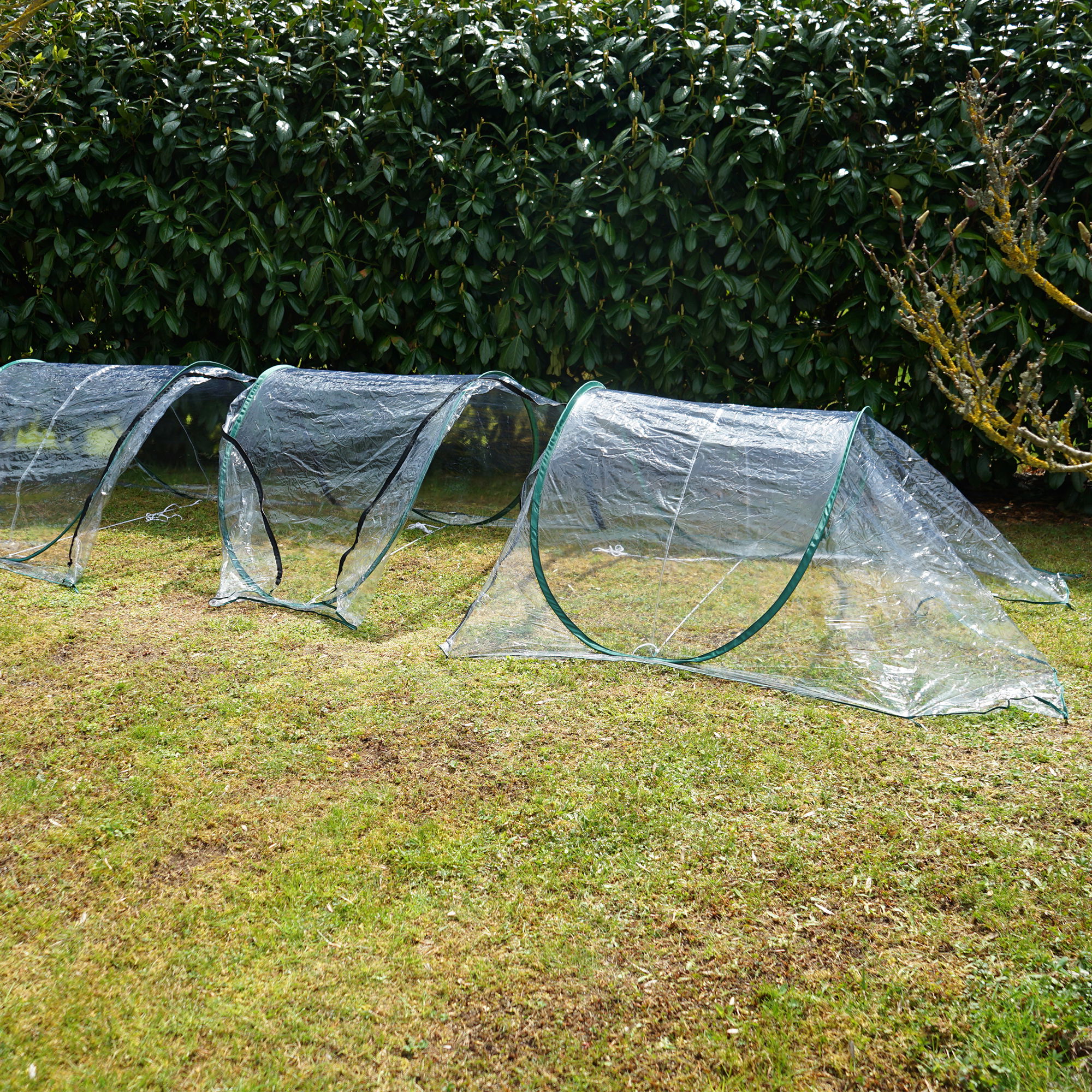 Folientunnel aus transparenter PVC-Folie, modular erweiterbarer Pflanztunnel NA171