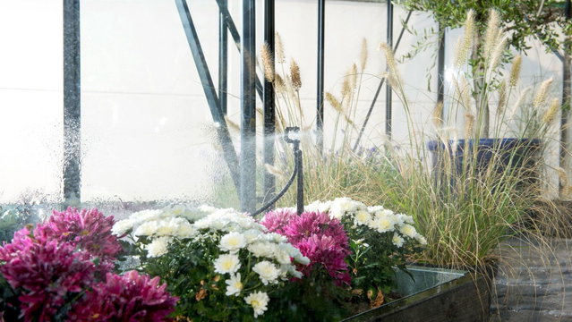 Bewässerungssystem für Gartenbeet und Gewächshaus