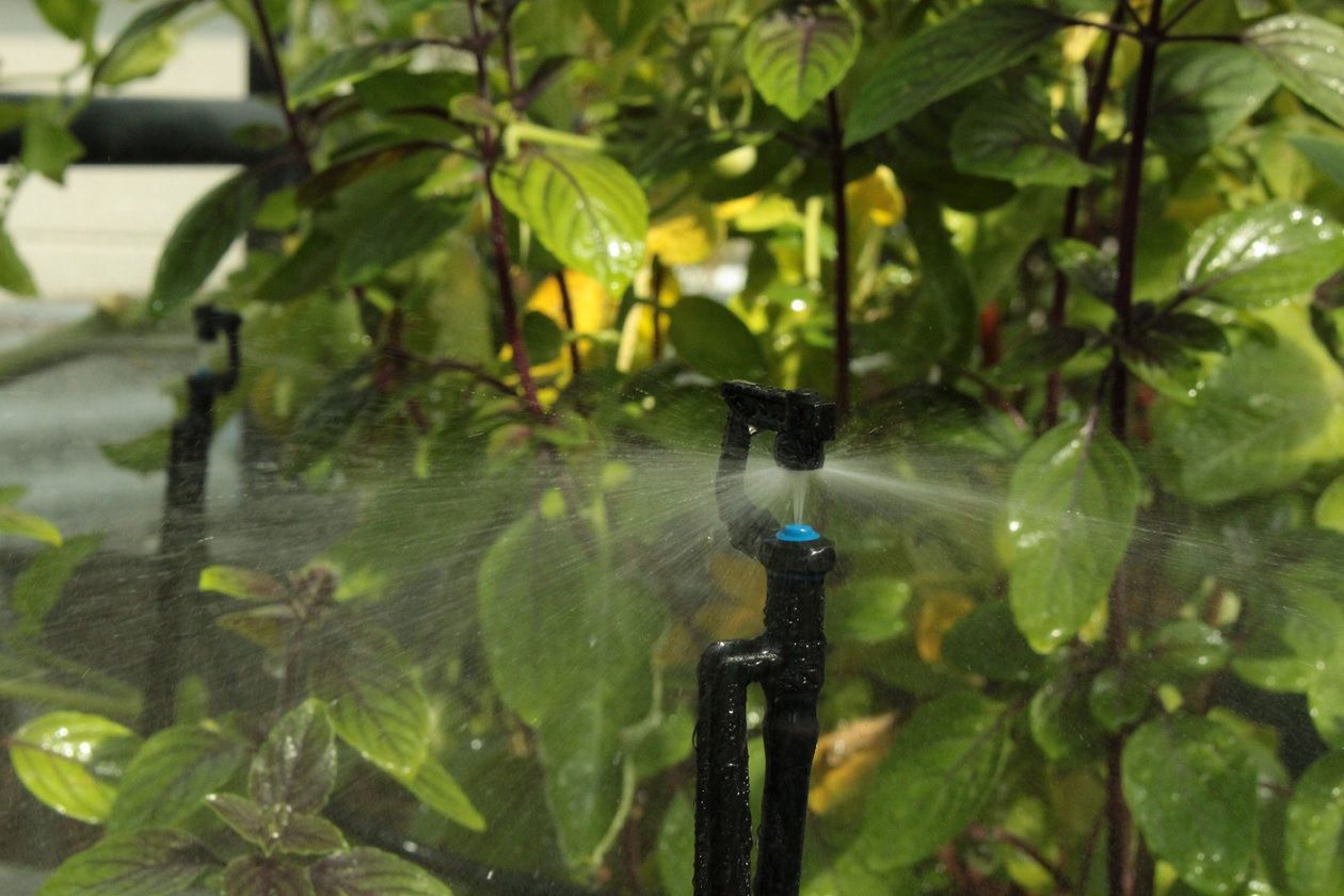 Bewässerungssystem für Gartenbeet und Gewächshaus EPH-40000319 Bewässerungssystem für Gartenbeet und Gewächshaus EPH-40000319
