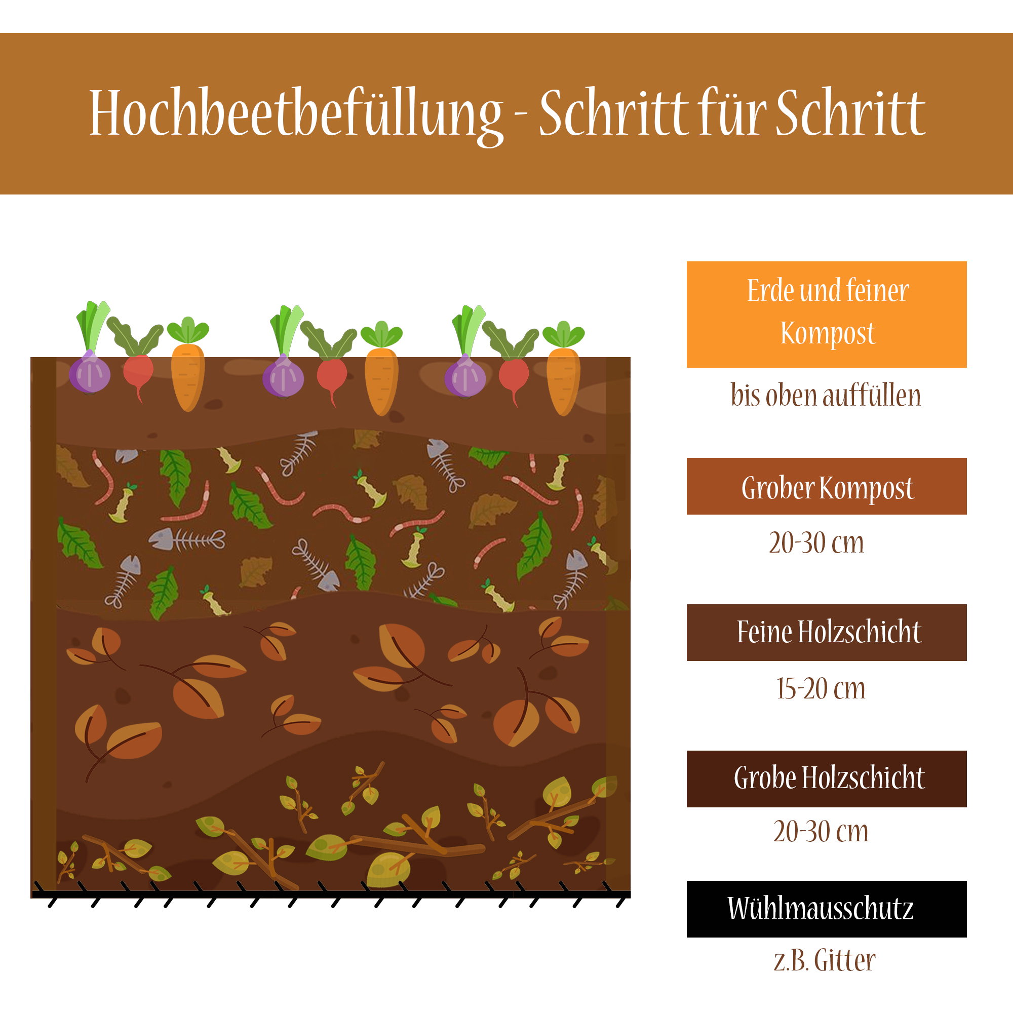 schaubild hochbeet richtig befüllen