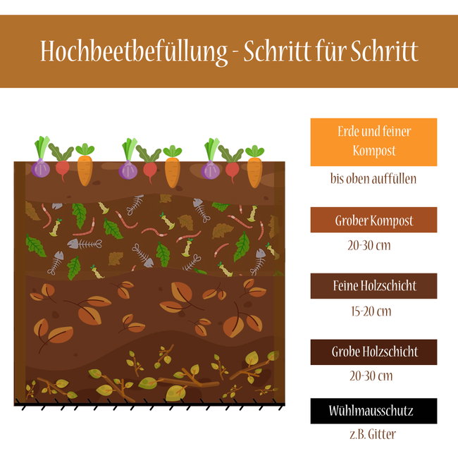 schaubild hochbeet richtig befüllen