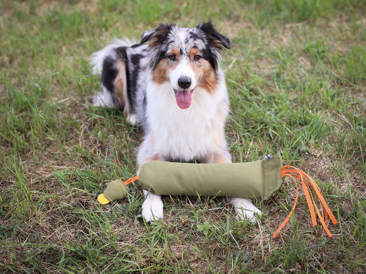 Dummy Fasan, schwimmfähig, Hundetraining, 1kg, Apportiertraining PR-D14 Dummy Fasan, schwimmfähig, Hundetraining, 1kg, Apportiertraining PR-D14