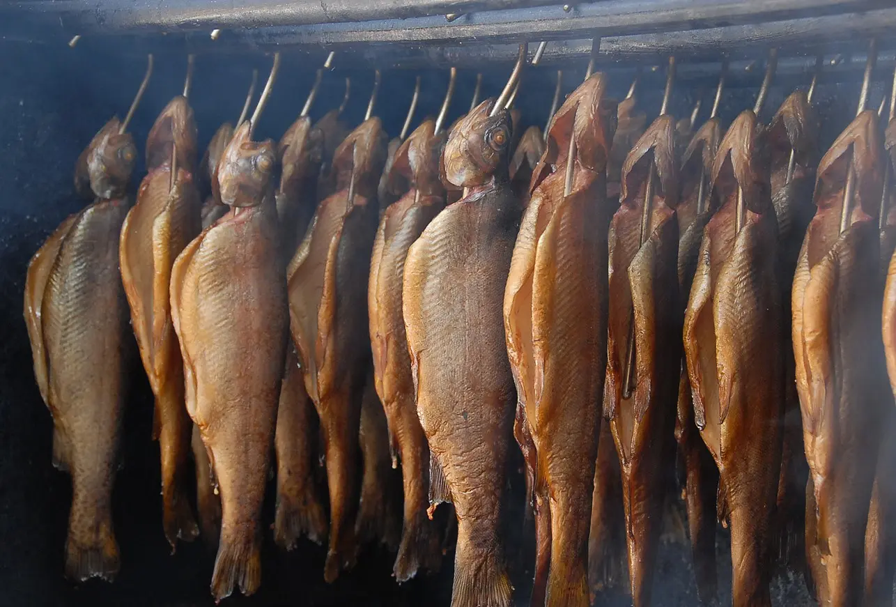 geräucherte forellen hängen im rauch