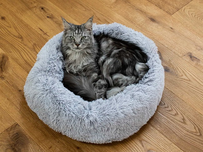 hunde-kattzen-bett