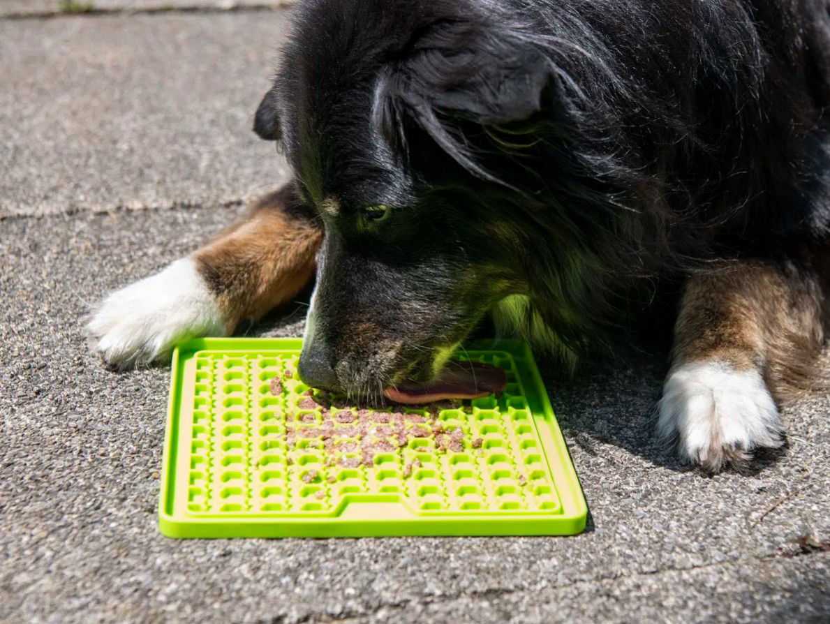 hund-leckmatte hund-leckmatte