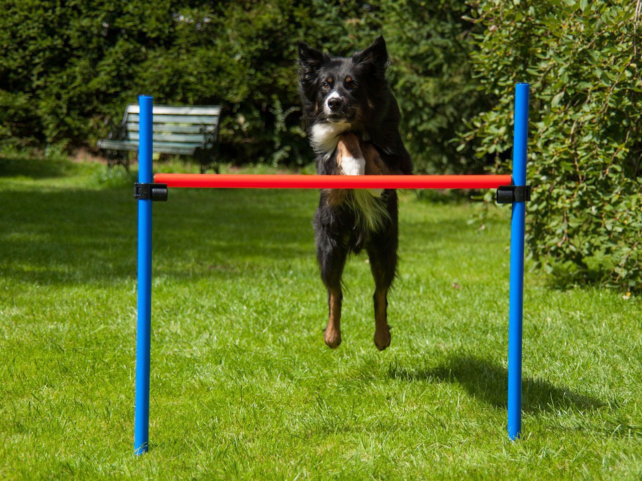 Hürde mit Tragetasche, Hundetraining, Agility PR-A8