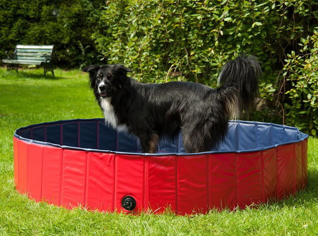hundepool hundepool
