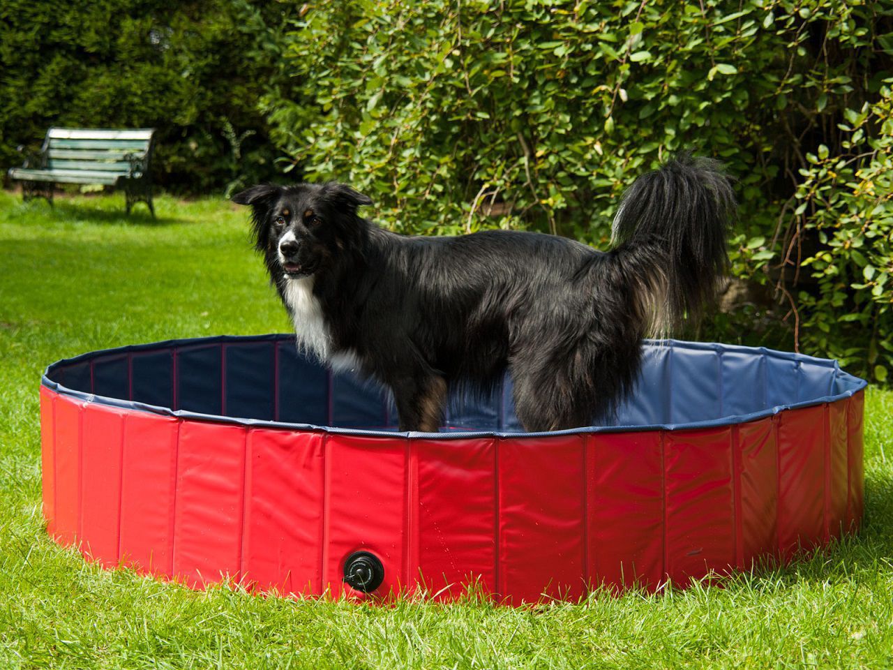 Procyon Hundepool Planschbecken für Haustiere 120cm oder 160cm mit Wasserablassventil besonders robu PR-K4-L