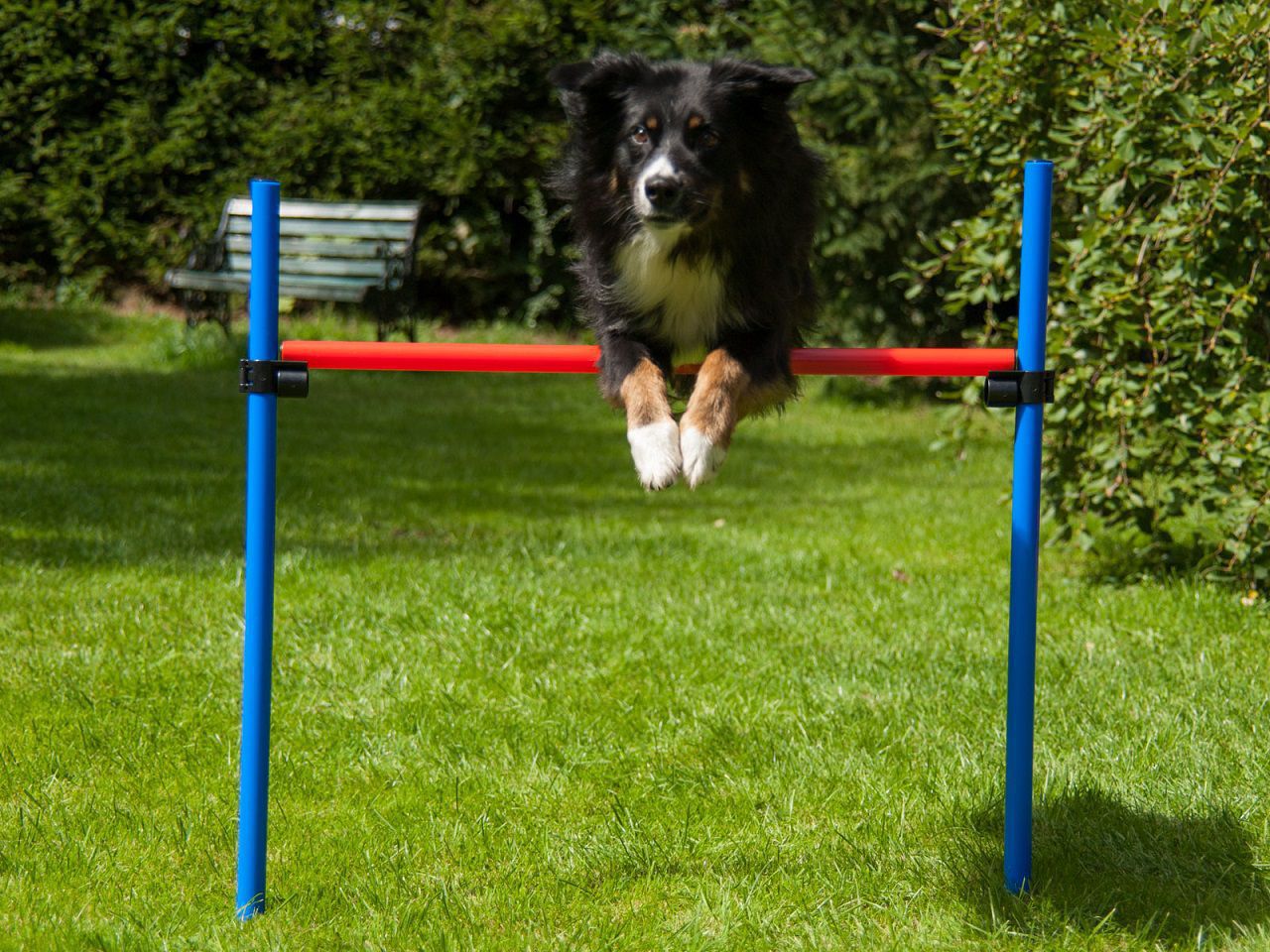 Hürde mit Tragetasche, Hundetraining, Agility PR-A8