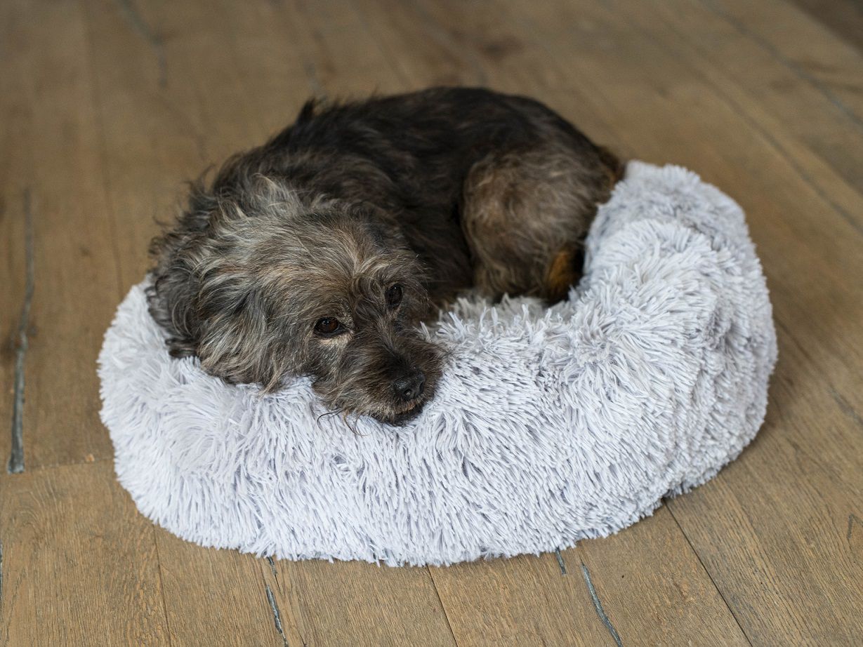 Tierbett für Hund und Katze, Donut, Haustierbett, 60cm PR-B2_HG