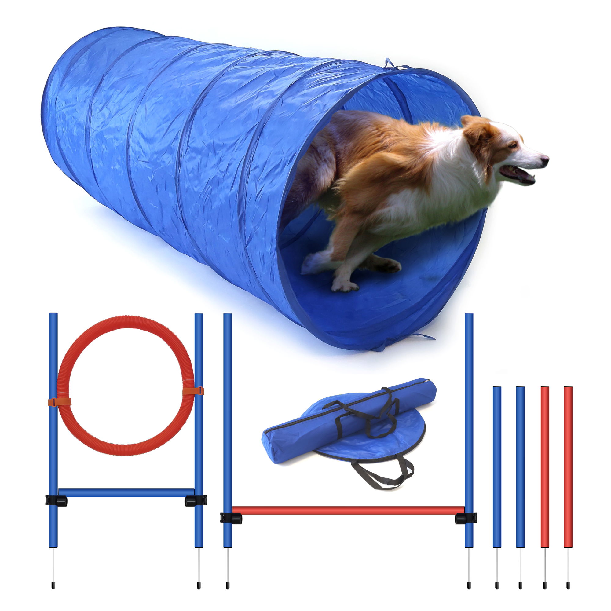 Agility Set K2 mit Tunnel