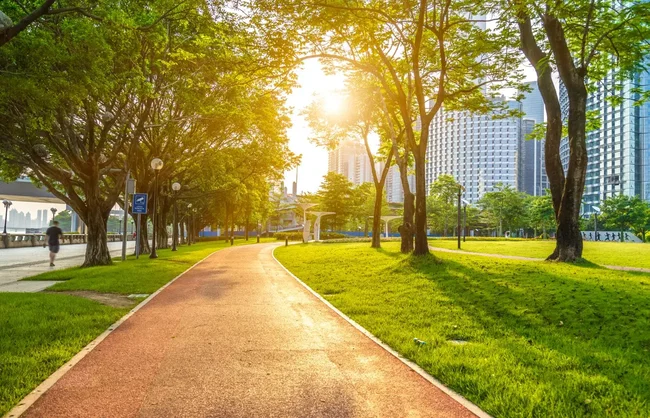 baumbewaesserung weg durch einen stadtpark