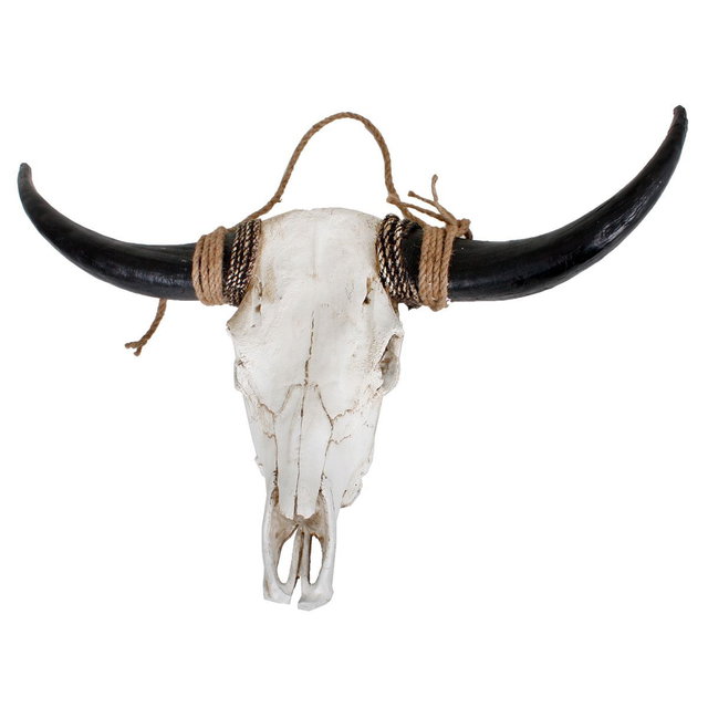 Geweih, Bison, Polyresin weiß mit schwarzen Hörnern HI-301811