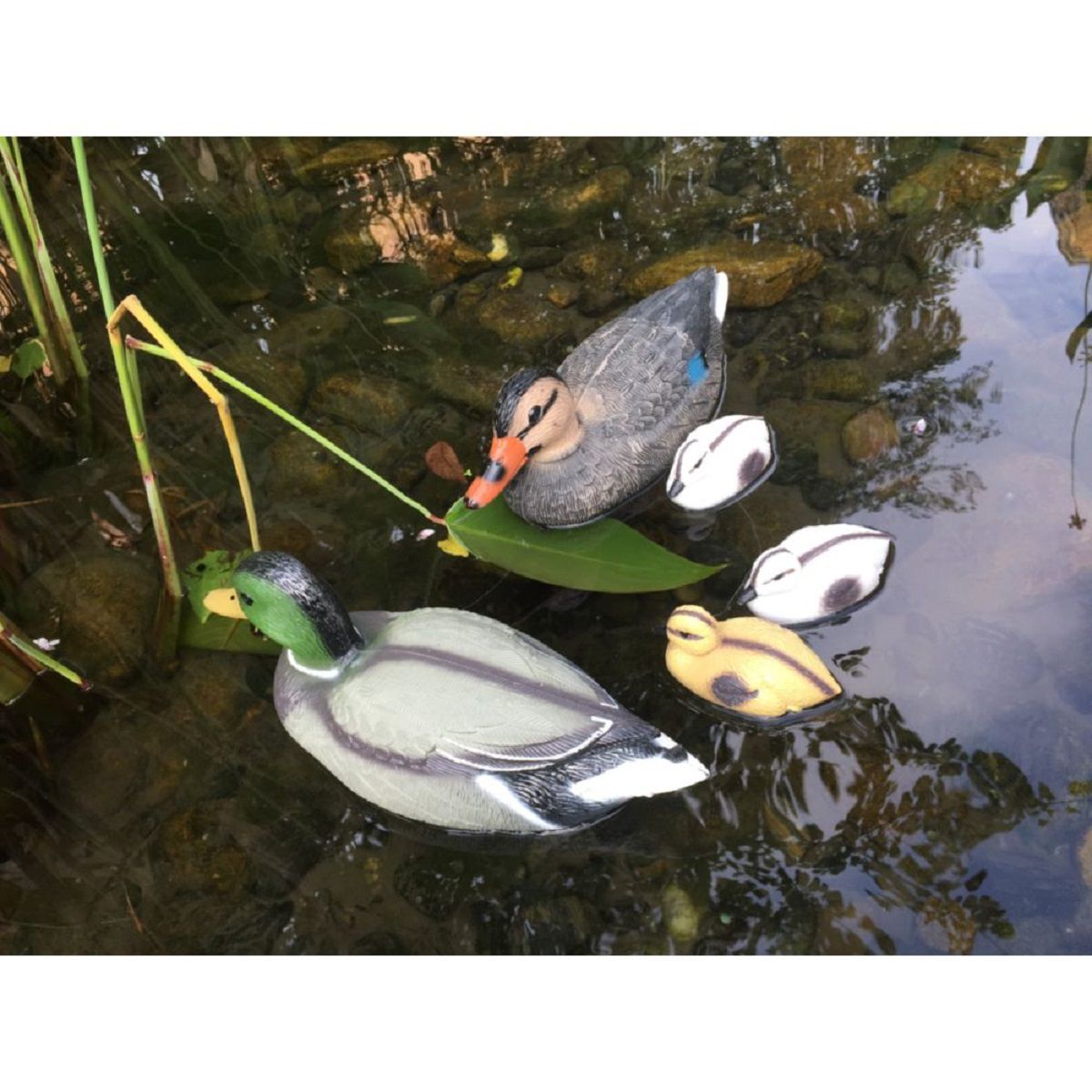 Schwimmenten-Familie für Teich, Deko-Enten HI-507144