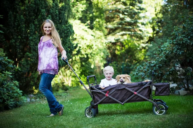 bollerwagen-kinder frau zieht kind und hund im bollerwagen