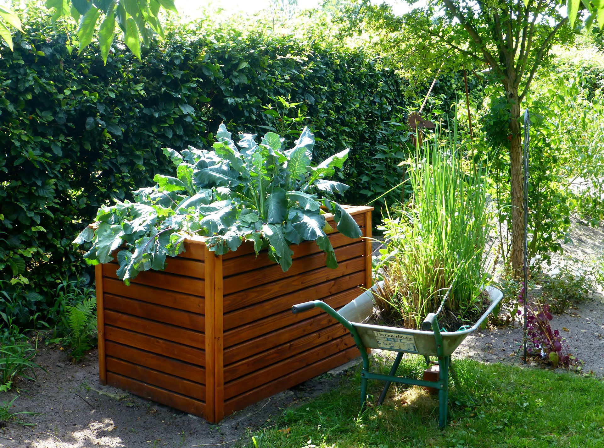 hochbeet im garten mit schubkarre
