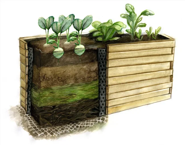 hochbeet-richtig-aufbauen schaubild bodenstruktur hochbeet