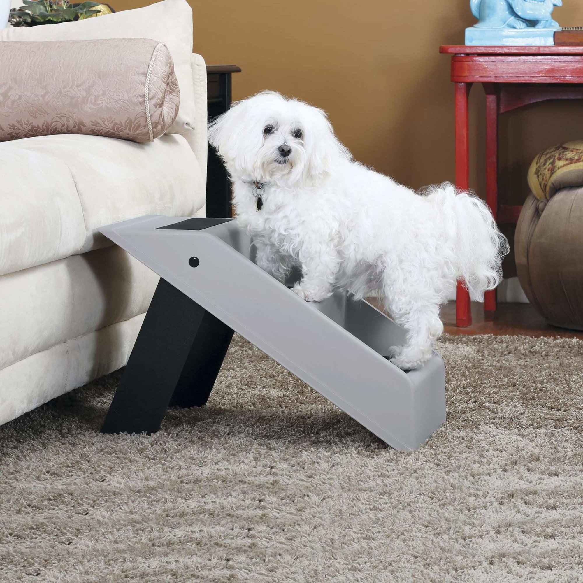 Weißer Hund auf grauer Hundetreppe am Sofa Weißer Hund auf grauer Hundetreppe am Sofa